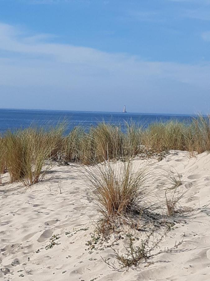 Appt 40M2 Residence 3*** 10Mn Plages Soulac-sur-Mer Exteriör bild